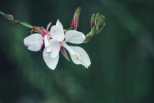 灵魂伴侣的六大特征（灵魂伴侣会有这些感应）(6)