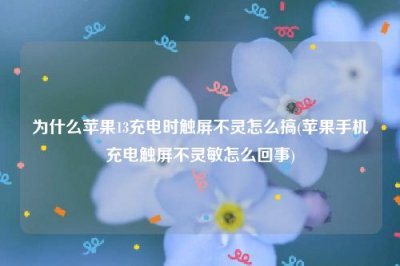 ​为什么苹果13充电时触屏不灵怎么搞(苹果手机充电触屏不灵敏怎么回事)