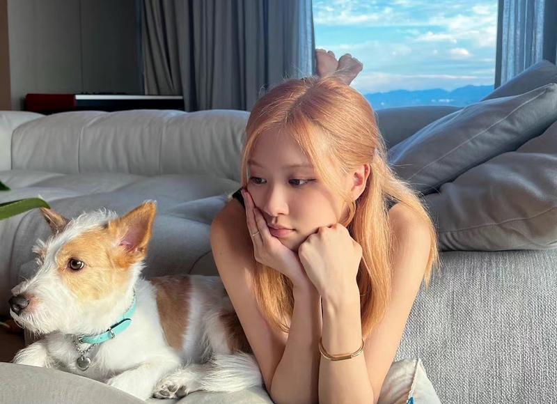 家庭暴力可以起诉离婚吗