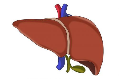 阿莫西林有副作用吗(新生儿吃阿莫西林有副作用吗)-第2张图片-