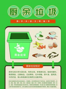​厨余垃圾怎么投放,什么是厨余垃圾