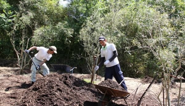 厨余垃圾怎么投放,什么是厨余垃圾图7