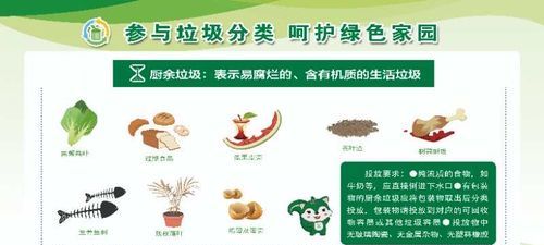 在投放厨余垃圾时正确的做法是什么