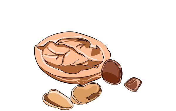 厨余垃圾怎么投放,什么是厨余垃圾图3