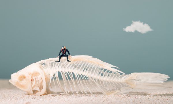 厨余垃圾怎么投放,什么是厨余垃圾图2