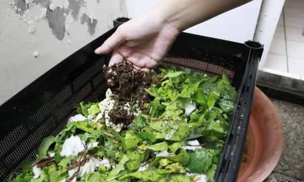 厨余垃圾怎么投放,什么是厨余垃圾图6