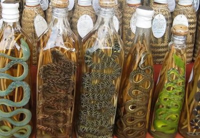 ​男子泡蛇酒一年，开坛喝酒却被毒蛇咬死，蛇为啥还活着？