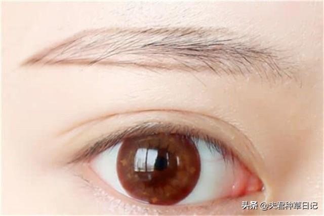 纹眉到底好不好有没有必要(为什么不建议女人去)(3)