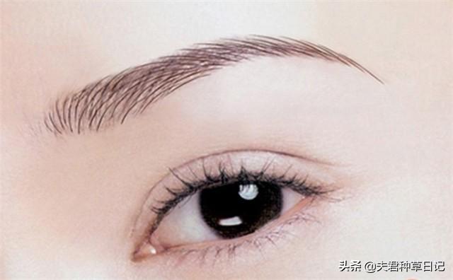 纹眉到底好不好有没有必要(为什么不建议女人去)(9)