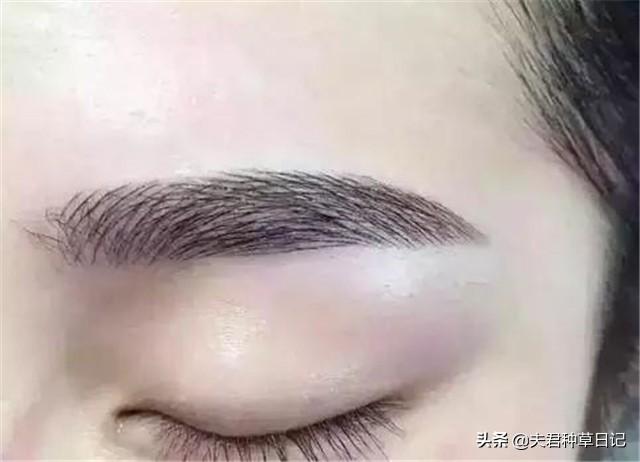 纹眉到底好不好有没有必要(为什么不建议女人去)(5)