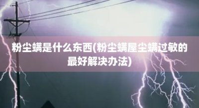 ​粉尘螨是什么东西(粉尘螨屋尘螨过敏的最好解决办法)
