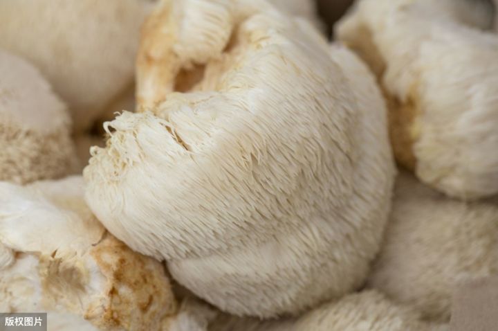 猴头菇鸡汤（简单又好喝的猴头菇鸡汤做法）