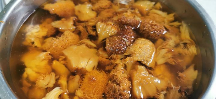 猴头菇鸡汤（简单又好喝的猴头菇鸡汤做法）