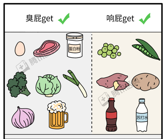 化学中屁分子由什么构成，从微观角度回答
