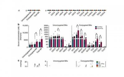 ​关于平坦的文案(通用50句)