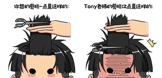 tony是什么意思