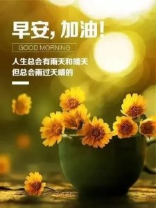 ​成年人的世界里没有容易二字，做好自己行，静待花开