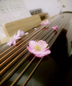 ​古琴有多少弦，大多数古琴有多少根弦？