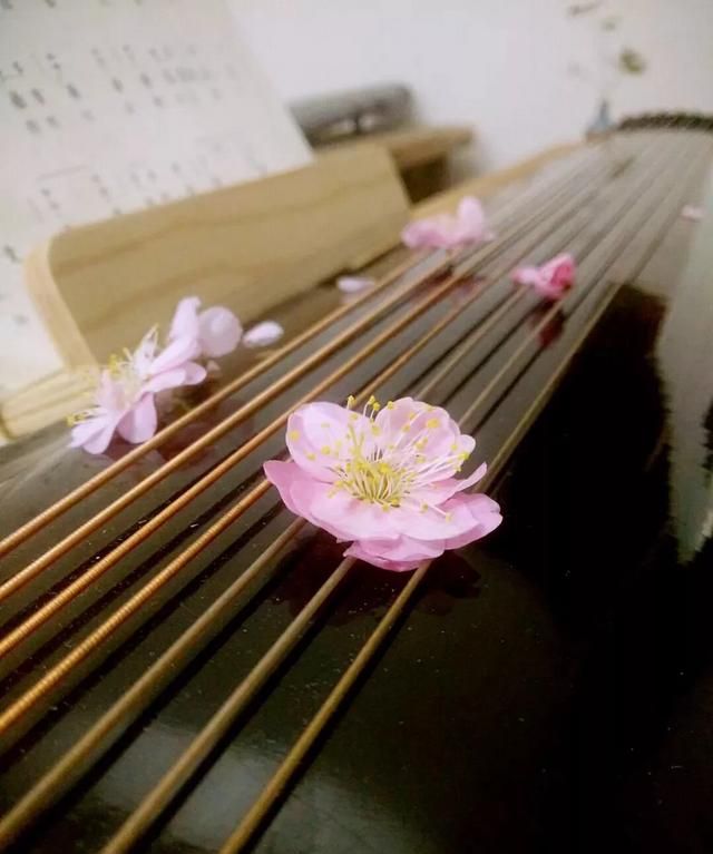 古琴有多少弦，大多数古琴有多少根弦？图1