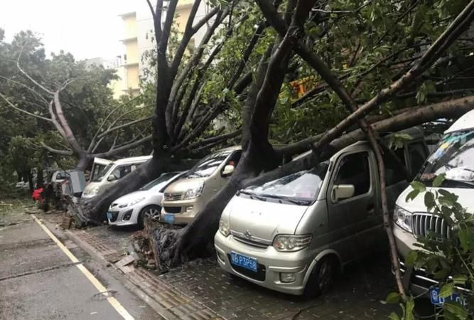 汕尾山竹台风是哪一年