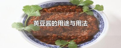 ​黄豆酱的用途与用法