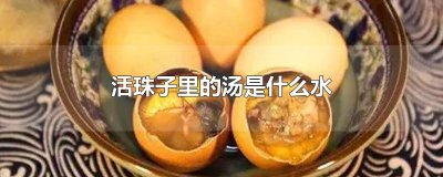 ​活珠子里的汤是什么水