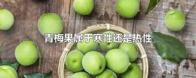 ​青梅果属于寒性还是热性
