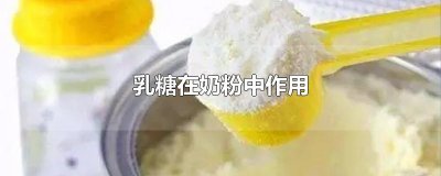 ​乳糖在奶粉中作用
