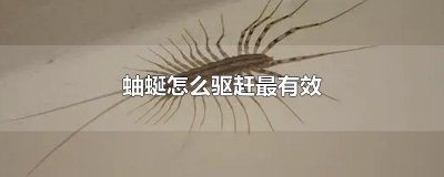 ​蚰蜒怎么驱赶最有效