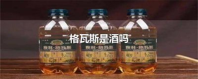 ​哇哈哈格瓦斯是不是酒 哇哈哈格瓦斯属于酒还是饮料