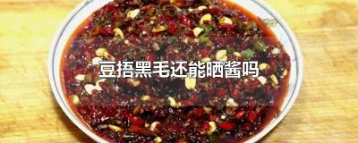 ​豆捂黑毛还能晒酱吗