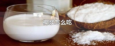 ​椰子原浆的吃法大全 椰汁怎样吃