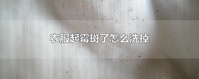 ​衣服起霉斑了怎么洗掉