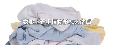 ​衣服上弄上植物浆怎么洗掉