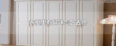 ​衣柜里有异味怎么去除