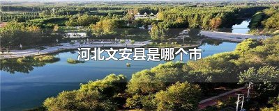 ​河北文安县是哪个市