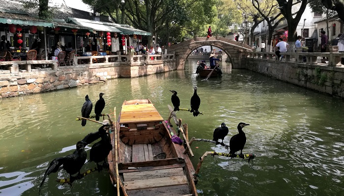 梁园日暮乱飞鸦 极目萧条三两家意思