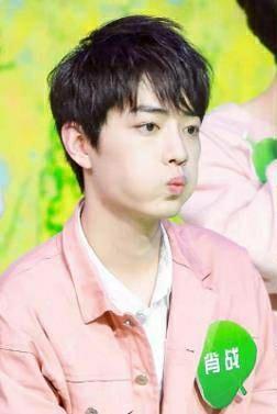 嘟嘟嘴的兔兔，呆萌又可爱，肖战图集