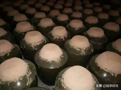 ​白酒封坛仪式流程(白酒封坛仪式致辞)