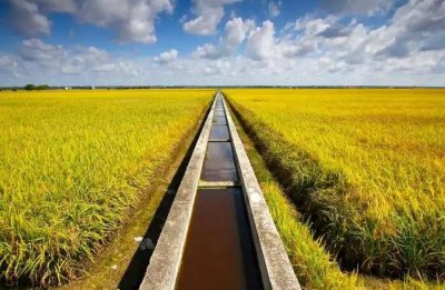 ​现代化农业如何灌溉?无线智能控制灌溉，远程集中灌溉农田