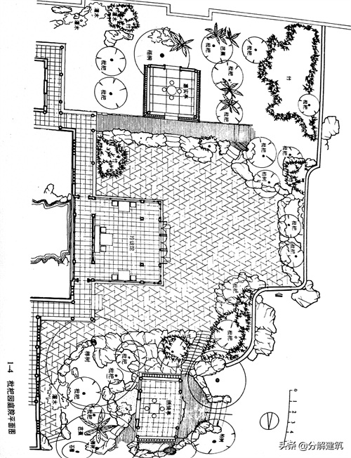 苏州拙政园枇杷园