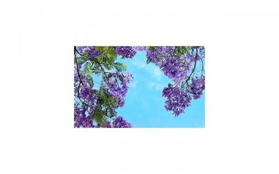 ​新年友情文案长篇(关于友情的文案长篇)