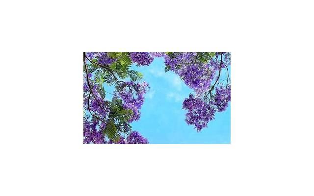 新年友情文案长篇(关于友情的文案长篇)