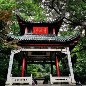 ​“爱晚亭”的由来，色彩绚烂、风格明丽的山林秋色图——《山行》