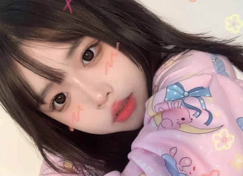 喜欢探索新鲜事物对应成语