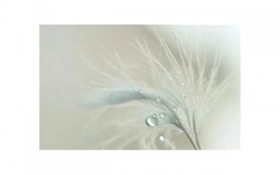 ​女孩给我发她大腿照片意味着什么？