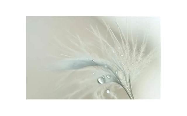 女孩给我发她大腿照片意味着什么？