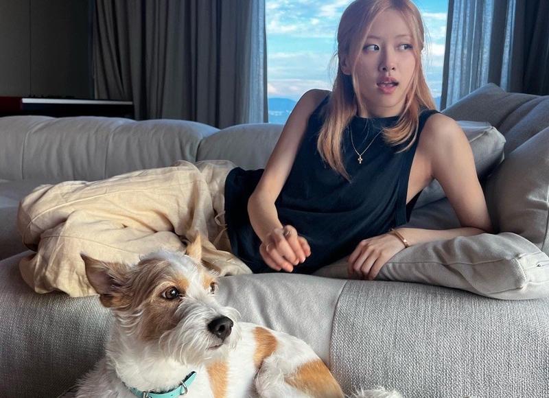 大连婚礼策划攻略(大连教堂婚礼攻略) 大连婚礼策划攻略(大连教堂婚礼攻略)