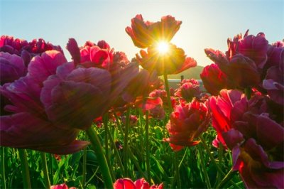 ​脾气越好的人，往往福气越好