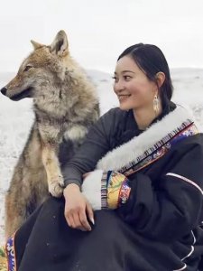 ​1975年，北大荒发生狼灾，家家遭殃，女知青放羊平安无事